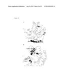 THREE-DIMENSIONAL STRUCTURE OF ISOPRENE SYNTHASE AND ITS USE THEREOF FOR     GENERATING VARIANTS diagram and image