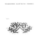 THREE-DIMENSIONAL STRUCTURE OF ISOPRENE SYNTHASE AND ITS USE THEREOF FOR     GENERATING VARIANTS diagram and image