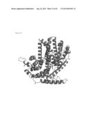 THREE-DIMENSIONAL STRUCTURE OF ISOPRENE SYNTHASE AND ITS USE THEREOF FOR     GENERATING VARIANTS diagram and image