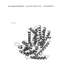 THREE-DIMENSIONAL STRUCTURE OF ISOPRENE SYNTHASE AND ITS USE THEREOF FOR     GENERATING VARIANTS diagram and image