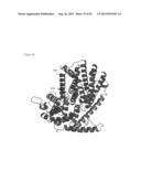THREE-DIMENSIONAL STRUCTURE OF ISOPRENE SYNTHASE AND ITS USE THEREOF FOR     GENERATING VARIANTS diagram and image