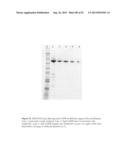 THREE-DIMENSIONAL STRUCTURE OF ISOPRENE SYNTHASE AND ITS USE THEREOF FOR     GENERATING VARIANTS diagram and image