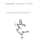 THREE-DIMENSIONAL STRUCTURE OF ISOPRENE SYNTHASE AND ITS USE THEREOF FOR     GENERATING VARIANTS diagram and image