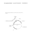 THREE-DIMENSIONAL STRUCTURE OF ISOPRENE SYNTHASE AND ITS USE THEREOF FOR     GENERATING VARIANTS diagram and image