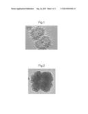 NOVEL STRAIN CLASSIFIED UNDER Botryococcus braunii diagram and image