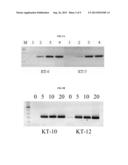 MUTANT POLYMERASES WITH FAST ELONGATING ACTIVITY diagram and image