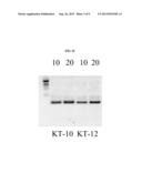 MUTANT POLYMERASES WITH FAST ELONGATING ACTIVITY diagram and image