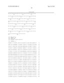 MUTANT POLYMERASES WITH FAST ELONGATING ACTIVITY diagram and image