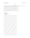 MUTANT POLYMERASES WITH FAST ELONGATING ACTIVITY diagram and image