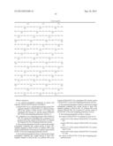 MUTANT POLYMERASES WITH FAST ELONGATING ACTIVITY diagram and image