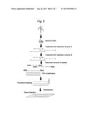 SUGARCANE-STALK-SUGAR-CONTENT-RELATED MARKER AND THE USE THEREOF diagram and image