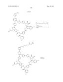 Macrocycles and Their Uses diagram and image