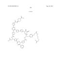 Macrocycles and Their Uses diagram and image