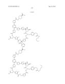 Macrocycles and Their Uses diagram and image