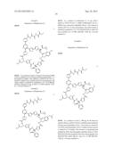 Macrocycles and Their Uses diagram and image