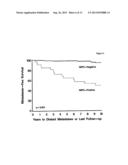 USE OF IMP3 AS A PROGNOSTIC MARKER FOR CANCER diagram and image