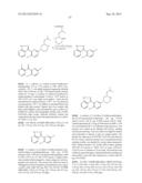 TRI-CYCLIC PYRAZOLOPYRIDINE KINASE INHIBITORS diagram and image