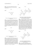 PYRAZOLOPYRIDINE COMPOUNDS, COMPOSITIONS AND METHODS OF USE diagram and image