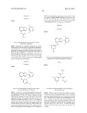 PYRAZOLOPYRIDINE COMPOUNDS, COMPOSITIONS AND METHODS OF USE diagram and image