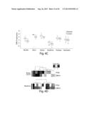 TARGETING MTOR SUBSTRATES IN TREATING PROLIFERATIVE DISEASES diagram and image