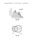 TARGETING MTOR SUBSTRATES IN TREATING PROLIFERATIVE DISEASES diagram and image