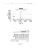 TARGETING MTOR SUBSTRATES IN TREATING PROLIFERATIVE DISEASES diagram and image