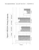 Ophthalmic Formulations of Cetirizine and Methods of Use diagram and image