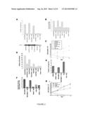 ACTIVATING PHOSPHORYLATION SITE ON GLUTAMINASE C diagram and image