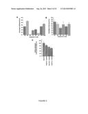 ACTIVATING PHOSPHORYLATION SITE ON GLUTAMINASE C diagram and image