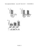 ACTIVATING PHOSPHORYLATION SITE ON GLUTAMINASE C diagram and image