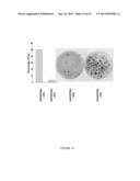 ACTIVATING PHOSPHORYLATION SITE ON GLUTAMINASE C diagram and image