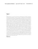 POLYMERS OF ISROPENE FROM RENEWABLE RESOURCES diagram and image