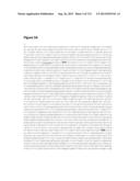 POLYMERS OF ISROPENE FROM RENEWABLE RESOURCES diagram and image