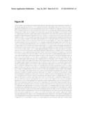 POLYMERS OF ISROPENE FROM RENEWABLE RESOURCES diagram and image