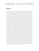 POLYMERS OF ISROPENE FROM RENEWABLE RESOURCES diagram and image