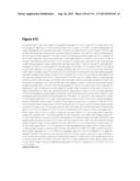 POLYMERS OF ISROPENE FROM RENEWABLE RESOURCES diagram and image