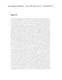 POLYMERS OF ISROPENE FROM RENEWABLE RESOURCES diagram and image