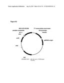 POLYMERS OF ISROPENE FROM RENEWABLE RESOURCES diagram and image