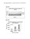 POLYMERS OF ISROPENE FROM RENEWABLE RESOURCES diagram and image