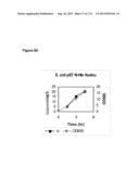 POLYMERS OF ISROPENE FROM RENEWABLE RESOURCES diagram and image