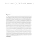 POLYMERS OF ISROPENE FROM RENEWABLE RESOURCES diagram and image