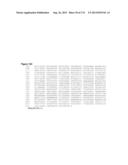 POLYMERS OF ISROPENE FROM RENEWABLE RESOURCES diagram and image