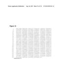 POLYMERS OF ISROPENE FROM RENEWABLE RESOURCES diagram and image