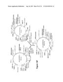 POLYMERS OF ISROPENE FROM RENEWABLE RESOURCES diagram and image