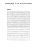 POLYMERS OF ISROPENE FROM RENEWABLE RESOURCES diagram and image