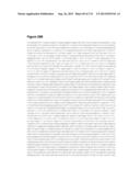 POLYMERS OF ISROPENE FROM RENEWABLE RESOURCES diagram and image