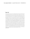 POLYMERS OF ISROPENE FROM RENEWABLE RESOURCES diagram and image