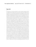 POLYMERS OF ISROPENE FROM RENEWABLE RESOURCES diagram and image