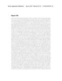 POLYMERS OF ISROPENE FROM RENEWABLE RESOURCES diagram and image