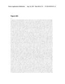 POLYMERS OF ISROPENE FROM RENEWABLE RESOURCES diagram and image